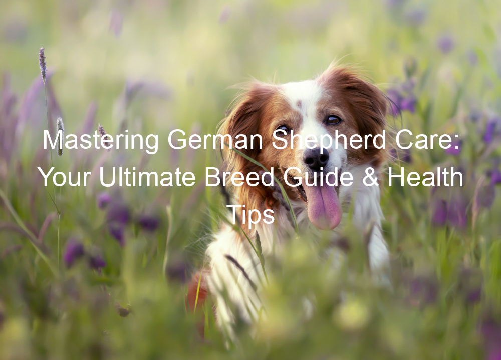 Mastering German Shepherd Care: Your Ultimate Breed Guide & Health Tips