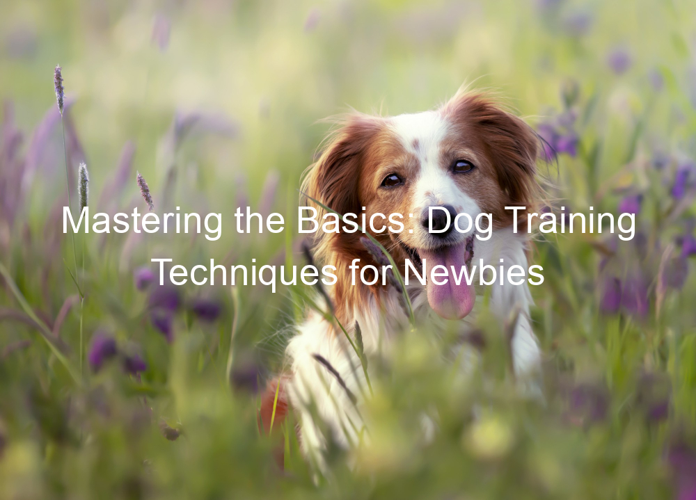 Mastering the Basics: Dog Training Techniques for Newbies