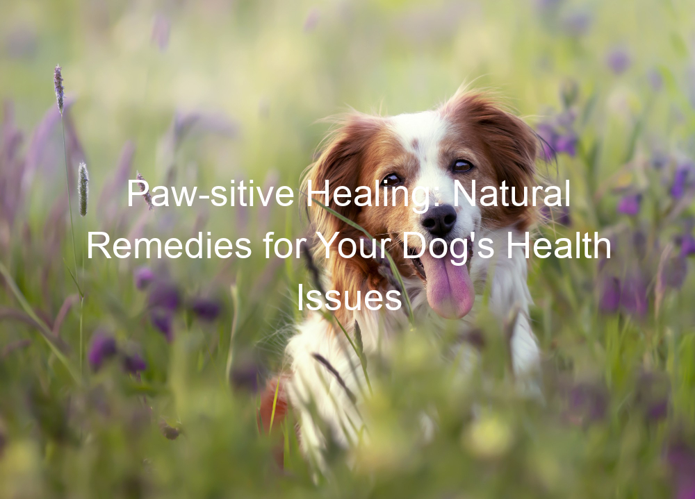 Paw-sitive Healing: Natural Remedies for Your Dog's Health Issues