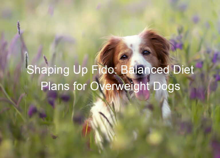 Shaping Up Fido: Balanced Diet Plans for Overweight Dogs