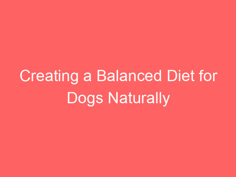Creating a Balanced Diet for Dogs Naturally