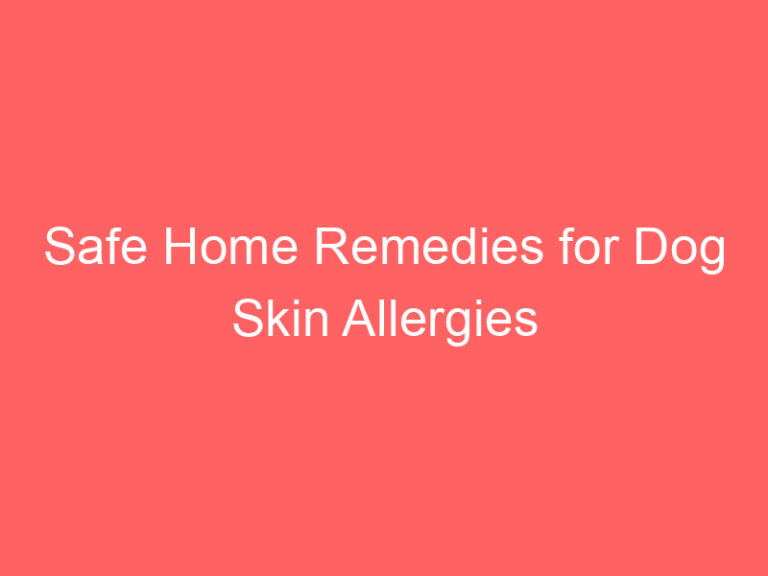 Safe Home Remedies for Dog Skin Allergies